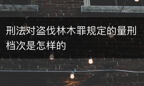 刑法对盗伐林木罪规定的量刑档次是怎样的