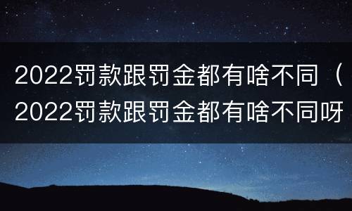 2022罚款跟罚金都有啥不同（2022罚款跟罚金都有啥不同呀）