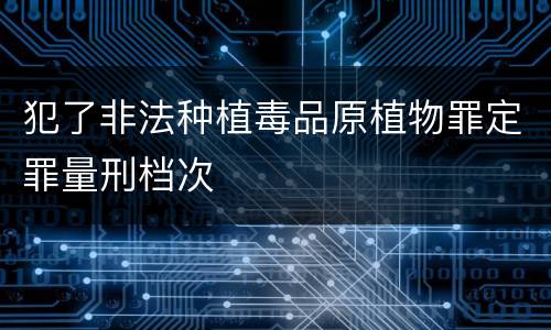 犯了非法种植毒品原植物罪定罪量刑档次