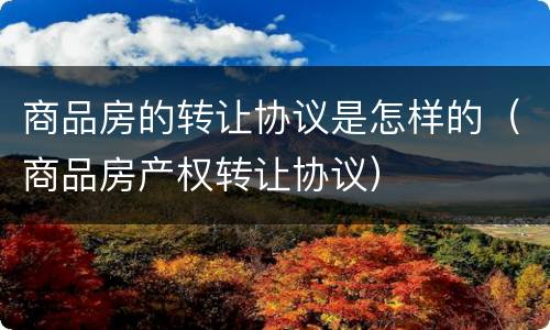 商品房的转让协议是怎样的（商品房产权转让协议）