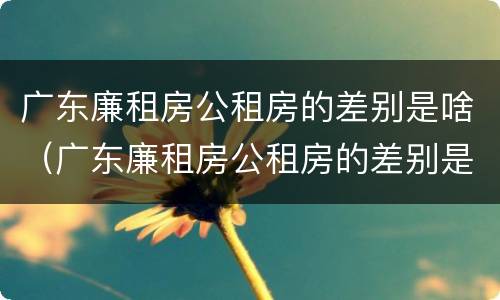 广东廉租房公租房的差别是啥（广东廉租房公租房的差别是啥啊）