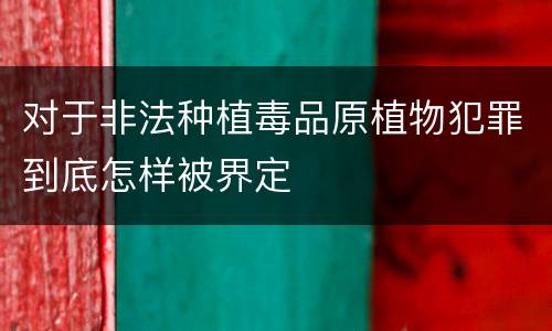 对于非法种植毒品原植物犯罪到底怎样被界定