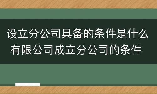 设立分公司具备的条件是什么 有限公司成立分公司的条件