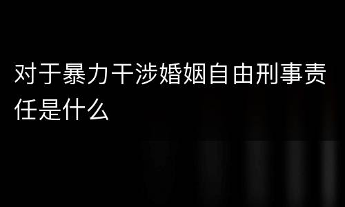对于暴力干涉婚姻自由刑事责任是什么