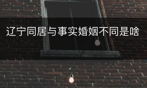 辽宁同居与事实婚姻不同是啥
