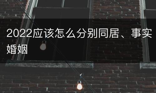 2022应该怎么分别同居、事实婚姻