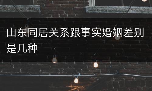 山东同居关系跟事实婚姻差别是几种