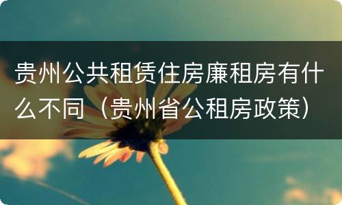贵州公共租赁住房廉租房有什么不同（贵州省公租房政策）