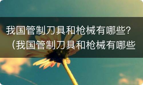 我国管制刀具和枪械有哪些？（我国管制刀具和枪械有哪些品牌）
