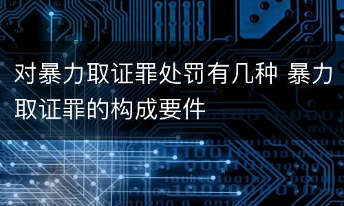 对暴力取证罪处罚有几种 暴力取证罪的构成要件