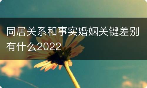 同居关系和事实婚姻关键差别有什么2022