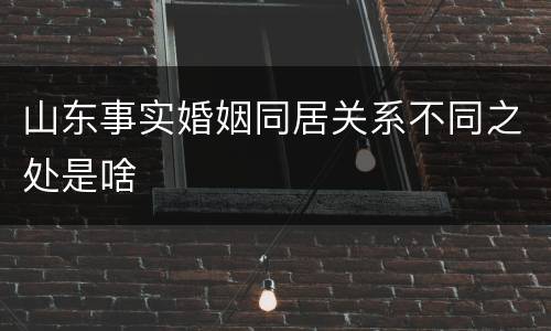 山东事实婚姻同居关系不同之处是啥