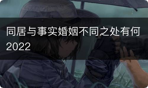 同居与事实婚姻不同之处有何2022