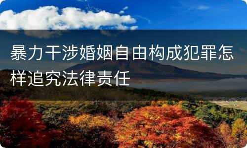 暴力干涉婚姻自由构成犯罪怎样追究法律责任