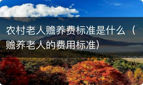 农村老人赡养费标准是什么（赡养老人的费用标准）