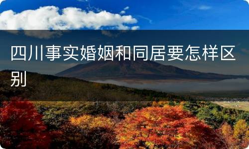 四川事实婚姻和同居要怎样区别
