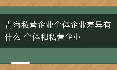 青海私营企业个体企业差异有什么 个体和私营企业