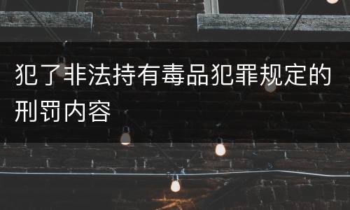 犯了非法持有毒品犯罪规定的刑罚内容