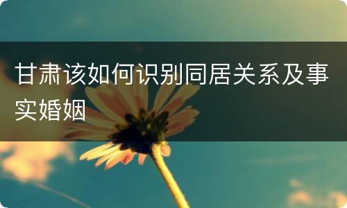 甘肃该如何识别同居关系及事实婚姻