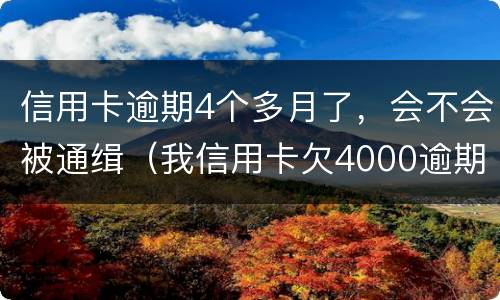 信用卡逾期4个多月了,会不会被通缉(我信用卡欠4000逾期四个月)
