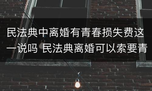民法典中离婚有青春损失费这一说吗 民法典离婚可以索要青春损失费吗