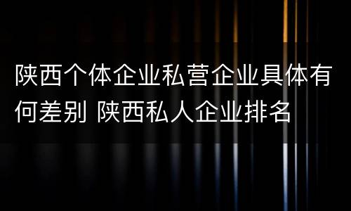 陕西个体企业私营企业具体有何差别 陕西私人企业排名