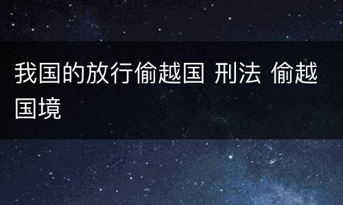 我国的放行偷越国 刑法 偷越国境