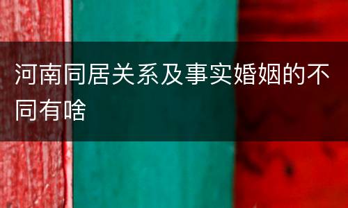 河南同居关系及事实婚姻的不同有啥