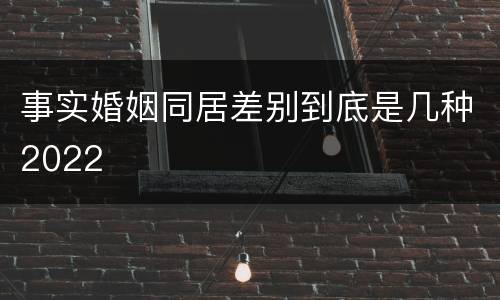 事实婚姻同居差别到底是几种2022