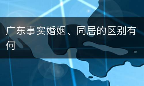 广东事实婚姻、同居的区别有何