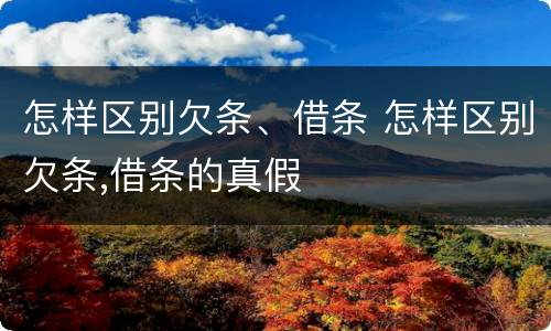 怎样区别欠条、借条 怎样区别欠条,借条的真假