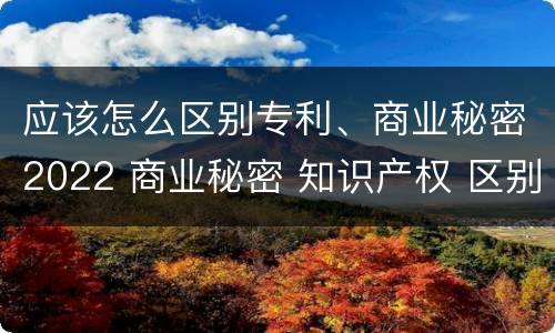 应该怎么区别专利、商业秘密2022 商业秘密 知识产权 区别