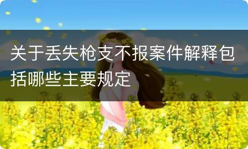 关于丢失枪支不报案件解释包括哪些主要规定