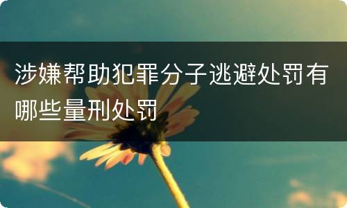 涉嫌帮助犯罪分子逃避处罚有哪些量刑处罚