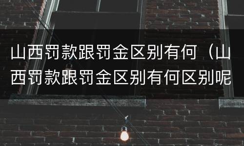 山西罚款跟罚金区别有何（山西罚款跟罚金区别有何区别呢）