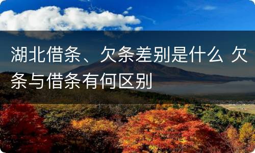 湖北借条、欠条差别是什么 欠条与借条有何区别