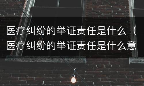 医疗纠纷的举证责任是什么（医疗纠纷的举证责任是什么意思）