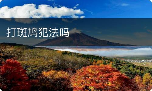 打斑鸠犯法吗