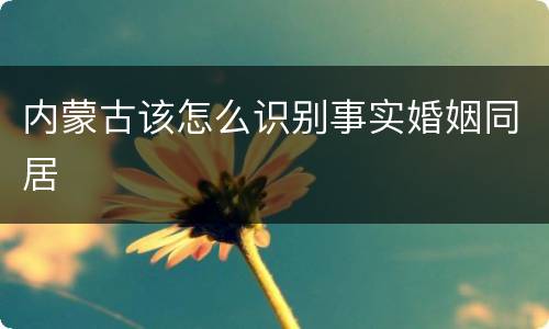 内蒙古该怎么识别事实婚姻同居