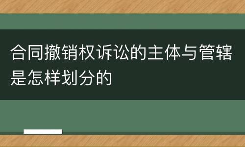 合同撤销权诉讼的主体与管辖是怎样划分的