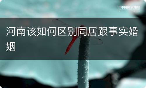 河南该如何区别同居跟事实婚姻
