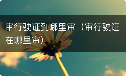 审行驶证到哪里审（审行驶证在哪里审）
