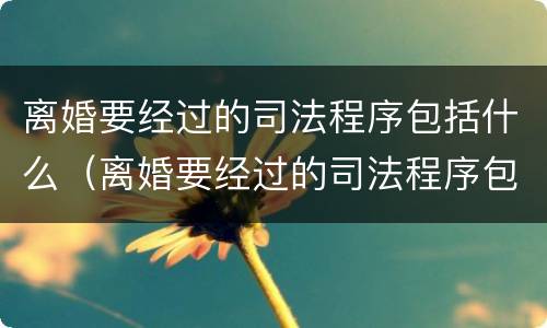 离婚要经过的司法程序包括什么（离婚要经过的司法程序包括什么案件）