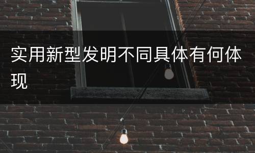 实用新型发明不同具体有何体现