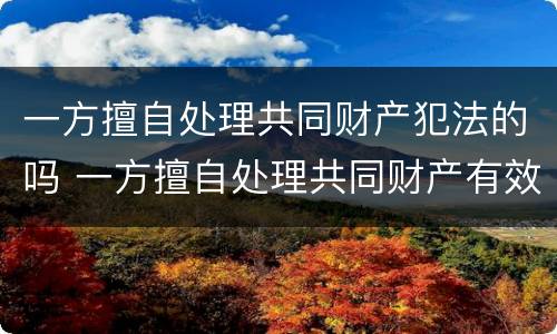 一方擅自处理共同财产犯法的吗 一方擅自处理共同财产有效吗