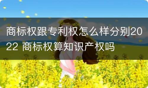 商标权跟专利权怎么样分别2022 商标权算知识产权吗