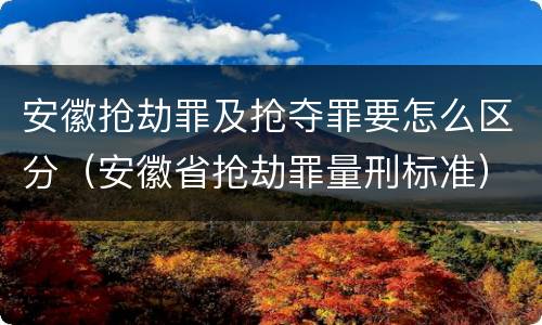 安徽抢劫罪及抢夺罪要怎么区分（安徽省抢劫罪量刑标准）