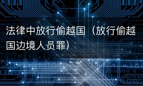 法律中放行偷越国（放行偷越国边境人员罪）