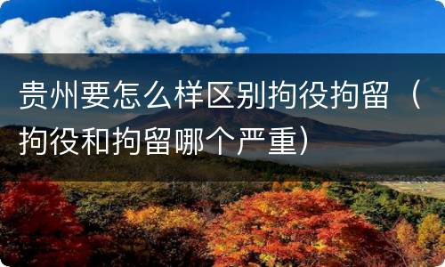 贵州要怎么样区别拘役拘留（拘役和拘留哪个严重）