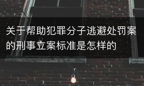 关于帮助犯罪分子逃避处罚案的刑事立案标准是怎样的